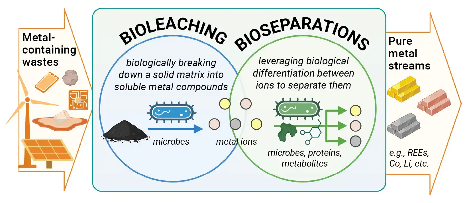 Metal-containing wastes with an arrow pointing to Bioleaching (biologically breaking down a solid matrix into soluble metal compounds--microbes); and Bioseparations (leveraging biological differentiation between ions to separate them—microbes, proteins, metabolites) with an arrow pointing to Pure metal streams (e.g., REEs, Co, Li, etc.).