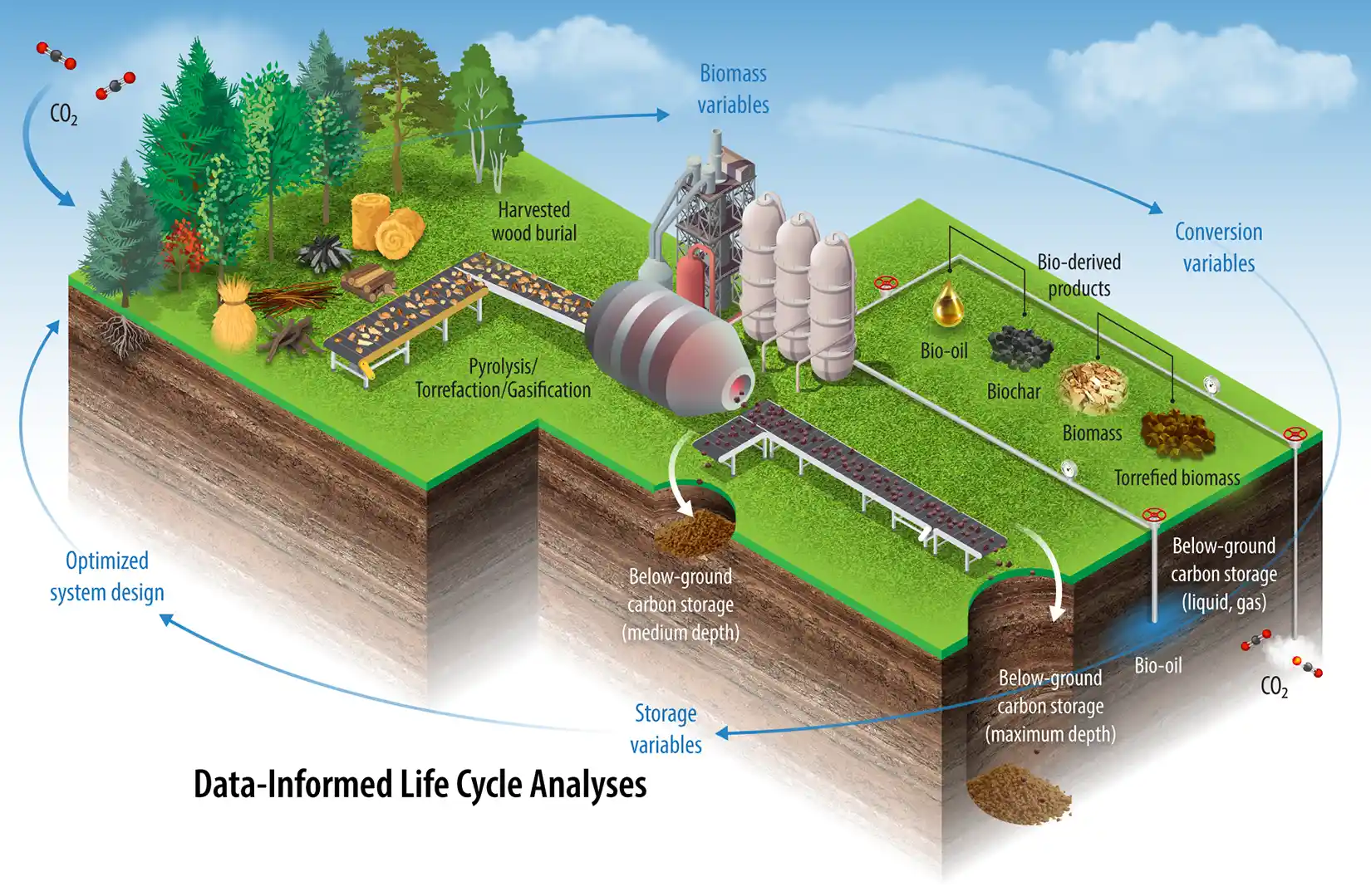 Data-Informed Life Cycle Analyses—which include biomass variables, conversion variables, storage variables, optimized system design, and CO2—of harvested wood burial, pyrolysis/torrefaction/gasification, bio-oil, biochar, biomass, and torrefied mass at different below-ground storage (medium depth, maximum depth, and liquid, gas).
