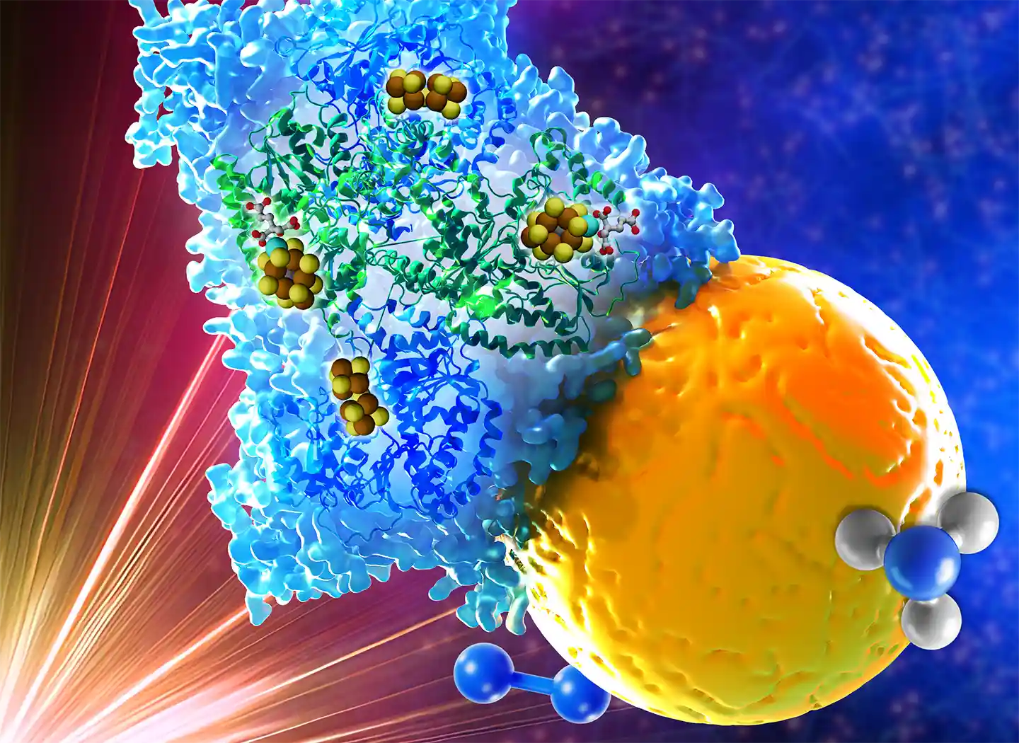Illustration of a model complex between a CdS quantum dot (yellow sphere) and the molybdenum-iron (MoFe) protein (blue ribbon) of Mo-nitrogenase.