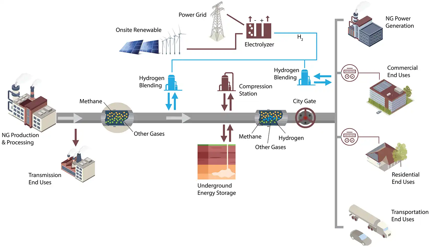 Illustration of gas infrastructure network and how the electric grid is linked from gas and other energy sources.