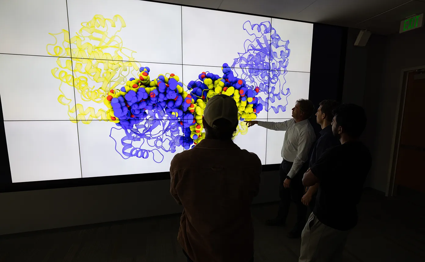 Four researchers examine a large visualization of an enzyme.