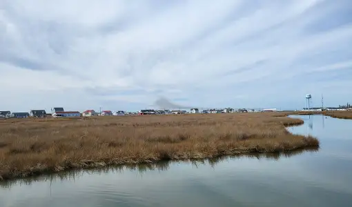 Continue reading about A coastal marsh with a water tower and houses in the background.