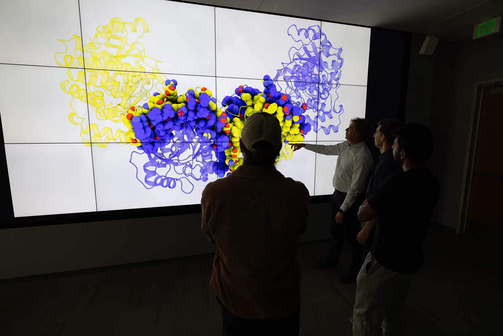 Four researchers examine a large visualization of an enzyme.