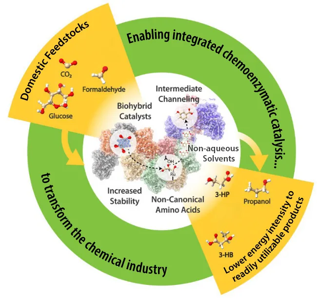 A flow chart showing the conversion of feedstocks (including CO2 and glucose) into readily utilizable products (like 3-HP and propanol) using biohybrid catalysts.