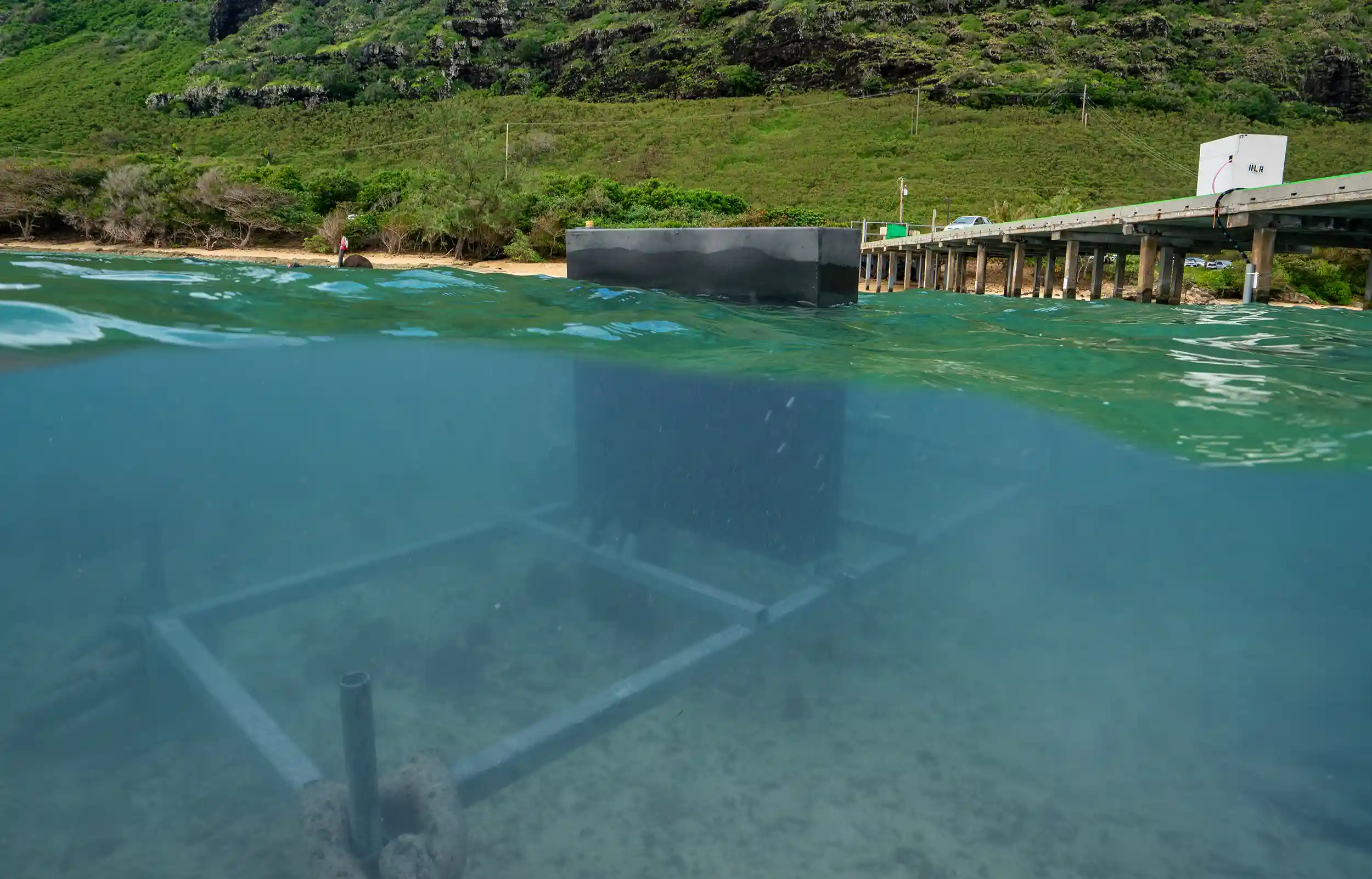 he National Laboratory of the Rockies' SURF-WEC device deployed off the Makai Pier in Oahu.