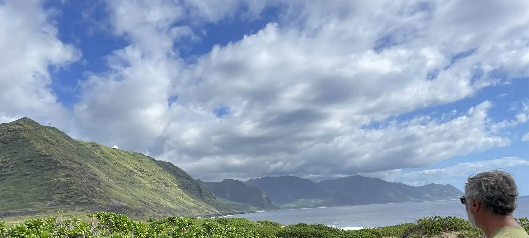 A person looking at a lush, mountainous coastline.