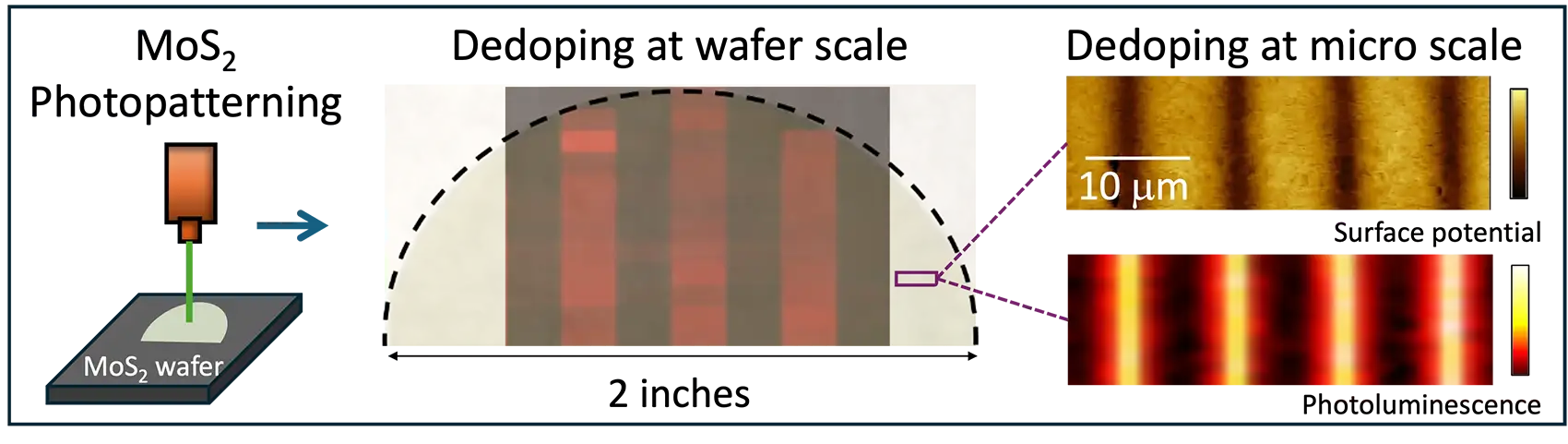 MoS2 photopatterning on a MoS2 wafer is shown on the left. A close-up image in the center show dedoping at the wafer scale, and two images on the right show dedoping at the micro scale, showcasing surface potential and photoluminescence.