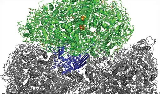 Continue reading about Symmetrical protein structure showing one trimer unit in color.