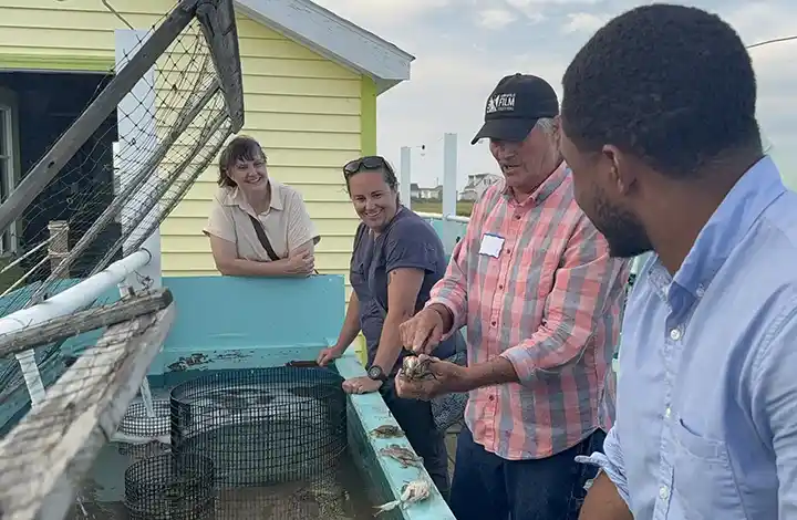 Four people on a dock looking at a fish.